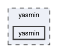 yasmin/yasmin